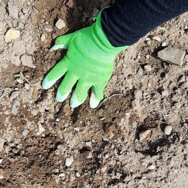 FAIR ZONE Gartenhandschuhe